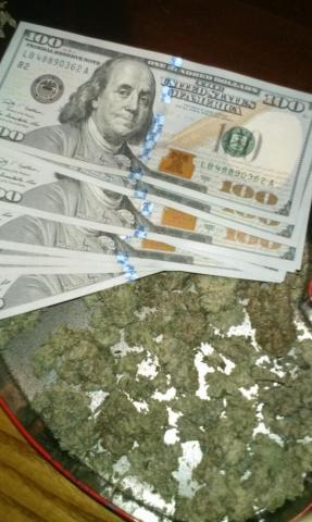 Florida Will Get Lots Of Revenue From Marijuana Sales